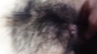케이스위스 (1)