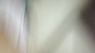 케이스위스 (4)