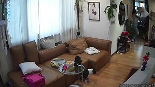 ipcam3-1057
