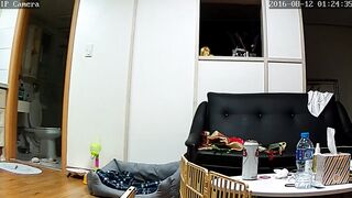 ipcam 모음1 (10)