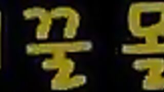 Korean Porn Collection Full Pack 250125001 간단 자위 방가경 고딩 업스 인스타 노예 히든페이스 교복 신작 (83) 17
