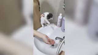 @lily_yunsky 얼공 임신 섹트녀 (68)