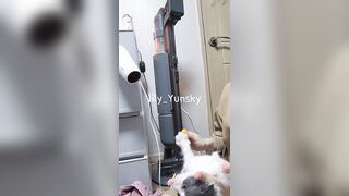 @lily_yunsky 얼공 임신 섹트녀 (70)