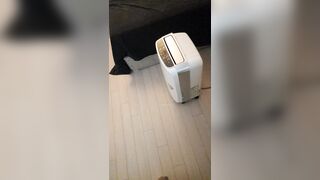 김현정87 (3)