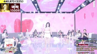 팬더 엑셀방송 korean bj