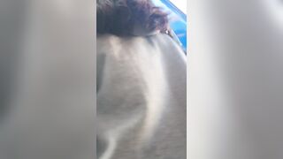 고전 여사친 ㅇㅅ ipcam 2