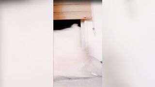 보지가 이쁘니 똥구녕도 이뻐 보이네 korean bj