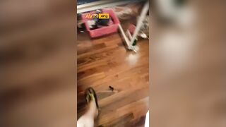야한오빠 떡방송 2탄