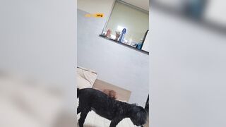 bj하루(bj복자) 휴지한장으로 비치나 korean bj