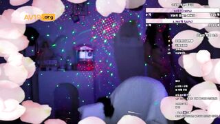 쿄양이 꼭노 korean bj