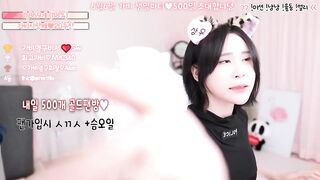 변태력 높은 BJ가비 밑가슴 코스튬 은꼴방송 korean bj