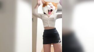 틱톡 ㅇㄲ (2)