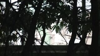 학교 기숙사 ㄷㅊ ipcam korean porn (22)