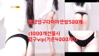 박아정500 korean bj