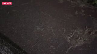 야외노출 밴드라방녀 2