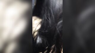 얼굴은찍지마 (3) 5