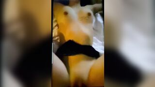 잃어버린 노예년 찾습니다