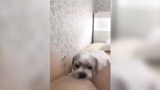 강아지와 오랄섹스하는년 1 (5) 15