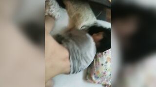 자취방연인