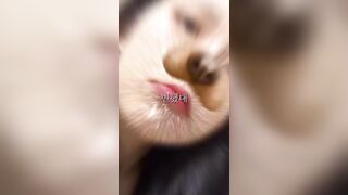 섹스 및 얼공 트위터 자료 모음 korean porn vip 6 (11)