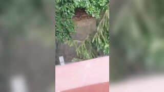 chn25071710 china