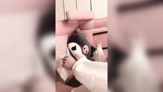 마멜 풀팩입니다 2 (19)