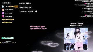 팬더bj 하이 얼공팬방 korean bj