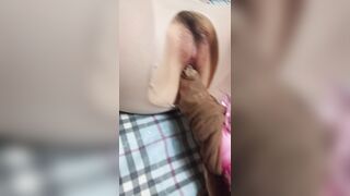 조카 (12)