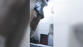 様々な小さな柔らかい猫が完璧に提示されています ipcam