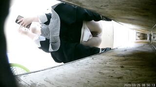 厕拍拉稀专辑✅全部都是挑选重口味拉稀的 第十五期 [某房原版] ipcam (6)