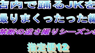 禁断の逆さ撮りシーズン2 踊るJKを撮りまくったった編 　指定便12 ipcam