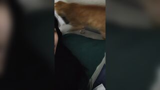 햄이 ★ 인스타라방 61V.20G [총정리.풀팩_40시간] 올노자위 포함 korean porn vip (39)