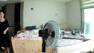ipcam-833