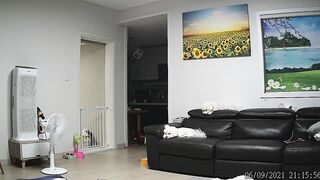 ipcam-1301