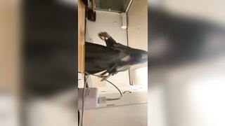 대구 불주먹 (2)