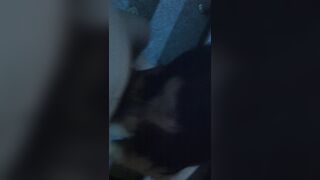 20 女 ★ 얼공녀 모음 58V.29P_6.07G korean porn vip 3 (2)
