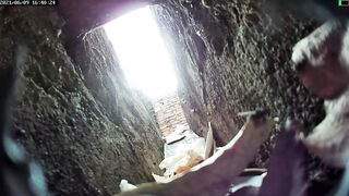 绝版资源✅-驾校女旱厕原档无剪辑17V[某房原版] ipcam (1)