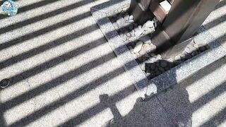 이유란 20251012