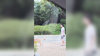 ㅈㅉ3 노브라 산책녀 korean porn ipcam