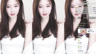 화정 2025