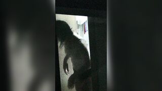 건너편 ㄷㅊ 12편이어서 korean porn vip ipcam (1)