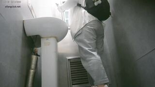Park Toilet 8 ipcam