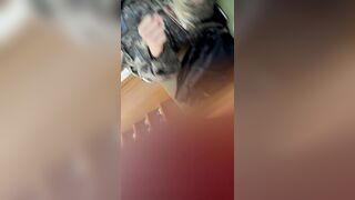 ㅈㅉ 이것저것2 korean porn ipcam (9)