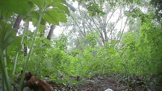 Outdoor Voyeur Piss 4-6 ipcam