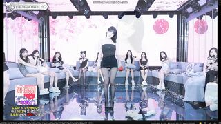 팬더티비 s컴퍼니 시즌5 도도화