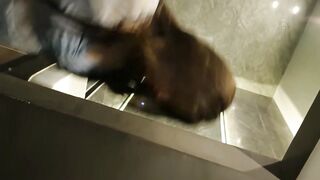 China Toilet Voyeur sifangktv 2423-2425 ipcam 2