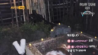 숲 윤영서_25.04.20 야외욕조 비키니의첸