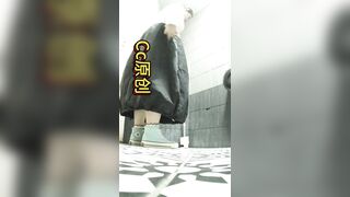 Womens Toilet In a Bar 1-3 ipcam 2