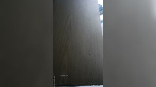 Toilet Voyeur sifangktv 2488-2490 ipcam 3 (4)