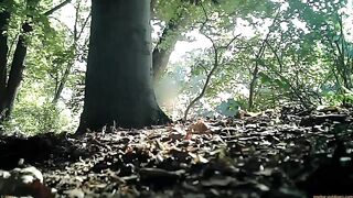 Run_0016 ipcam